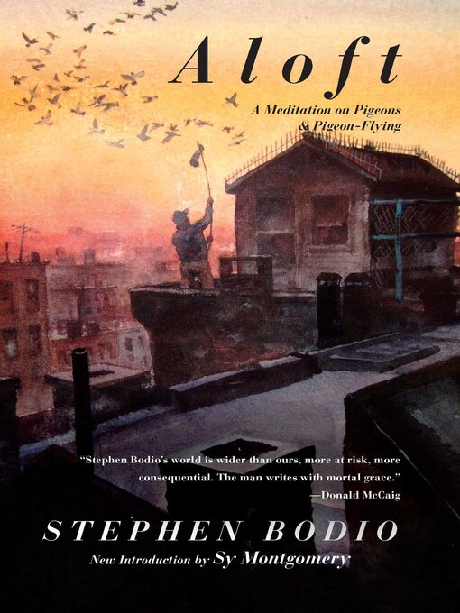 Title details for Aloft: a Meditation on Pigeons & Pigeon-Flying by Stephen Bodio - Wait list